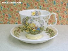 画像3: CH383 Royal Doulton Brambly Hedge  ロイヤルドルトン ブランブリーヘッジ ティーカップ＆ソーサー 〜スプリング〜 (3)