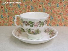 画像5: CH384 Royal Doulton Brambly Hedge  ロイヤルドルトン ブランブリーヘッジ ティーカップ＆ソーサー 〜サマー〜  (5)