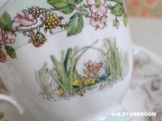 画像8: CH384 Royal Doulton Brambly Hedge  ロイヤルドルトン ブランブリーヘッジ ティーカップ＆ソーサー 〜サマー〜  (8)