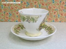 画像6: CH383 Royal Doulton Brambly Hedge  ロイヤルドルトン ブランブリーヘッジ ティーカップ＆ソーサー 〜スプリング〜 (6)