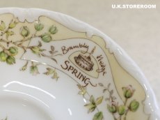 画像10: CH383 Royal Doulton Brambly Hedge  ロイヤルドルトン ブランブリーヘッジ ティーカップ＆ソーサー 〜スプリング〜 (10)