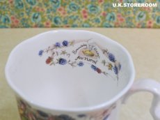 画像8: CH376 Royal Doulton Brambly Hedge   ブランブリーヘッジ フォーシーズン マグカップ 〜オータム〜 (8)