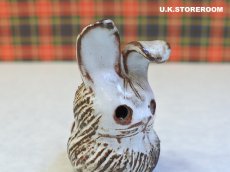 画像9: CO146 Briglin Pottery  ブリグリンポタリー ウサギ (9)