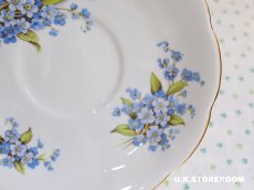 画像12: MB309  Queen Anne   クィーンアン  忘れな草 ティーカップ＆ソーサー (12)