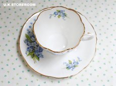 画像9: HA316 Hammersley  ハマースレイ 勿忘草 ティーカップ＆ソーサー (9)