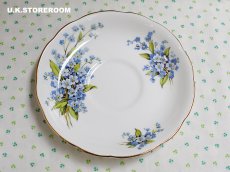 画像11: HA317 Hammersley  ハマースレイ 勿忘草 ティーカップ＆ソーサー (11)