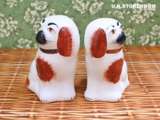 画像5: CO154 W Kent Pottery  ウィリアムケントポタリー スタッフォードシャードッグ (5)