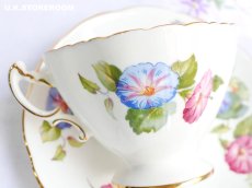 画像12: HA318 Hammersley  ハマースレイ  モーニンググローリー ティーカップ＆ソーサー (12)