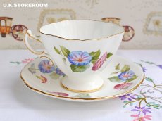 画像6: HA318 Hammersley  ハマースレイ  モーニンググローリー ティーカップ＆ソーサー (6)