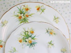 画像11: HA320 Hammersley  ハマースレイ イエロージョンキル（ラッパスイセン） モーニングティートリオ (11)