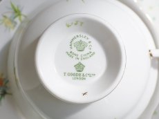 画像13: HA320 Hammersley  ハマースレイ イエロージョンキル（ラッパスイセン） モーニングティートリオ (13)