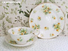 画像3: HA320 Hammersley  ハマースレイ イエロージョンキル（ラッパスイセン） モーニングティートリオ (3)