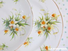 画像10: HA320 Hammersley  ハマースレイ イエロージョンキル（ラッパスイセン） モーニングティートリオ (10)