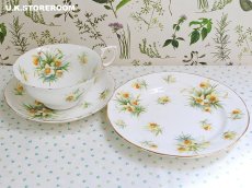 画像4: HA320 Hammersley  ハマースレイ イエロージョンキル（ラッパスイセン） モーニングティートリオ (4)
