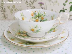 画像2: HA320 Hammersley  ハマースレイ イエロージョンキル（ラッパスイセン） モーニングティートリオ (2)