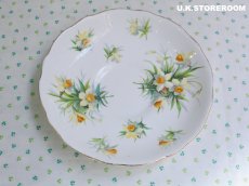 画像8: HA320 Hammersley  ハマースレイ イエロージョンキル（ラッパスイセン） モーニングティートリオ (8)