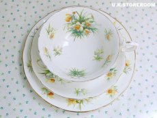 画像5: HA320 Hammersley  ハマースレイ イエロージョンキル（ラッパスイセン） モーニングティートリオ (5)