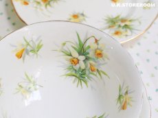 画像7: HA320 Hammersley  ハマースレイ イエロージョンキル（ラッパスイセン） モーニングティートリオ (7)