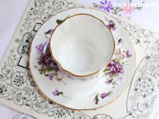 画像14: HA330 Hammersley ハマースレイ ヴィクトリアンバイオレット スミレティーカップ＆ソーサー (14)