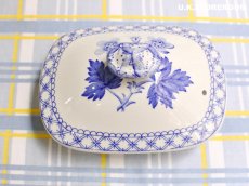 画像16: SPO329 Spode  スポード ゼラニウム 6人用ティーポット (16)