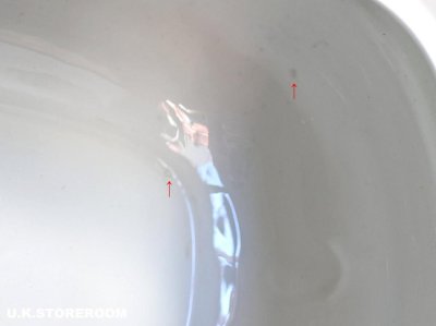 画像3: SPO329 Spode  スポード ゼラニウム 6人用ティーポット