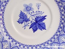 画像11: SPO328 Spode  スポード ゼラニウム ティーカップ＆ソーサー (11)