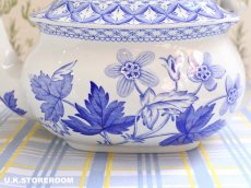 画像7: SPO329 Spode  スポード ゼラニウム 6人用ティーポット (7)