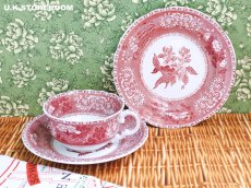 画像3: SPO330 Spode スポード  ピンクカミラ  ティートリオ (3)
