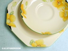 画像19: PA103 Paragon パラゴン アイスランドポピー フラワーハンドル ティートリオ (19)