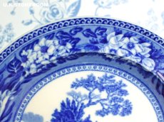 画像3: OB491 Wedgwood ウェッジウッド ファローディア ケーキプレート (3)