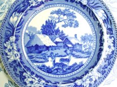画像5: OB491 Wedgwood ウェッジウッド ファローディア ケーキプレート (5)
