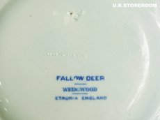 画像7: OB491 Wedgwood ウェッジウッド ファローディア ケーキプレート (7)
