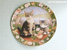 画像2: CH408 Royal Doulton Lesley Anne Ivory  レズリー・アン・アイボリー Cats in the window サマー ピクチャープレート  (2)