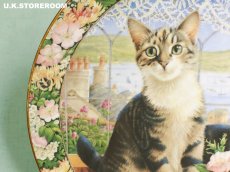 画像4: CH408 Royal Doulton Lesley Anne Ivory  レズリー・アン・アイボリー Cats in the window サマー ピクチャープレート  (4)
