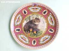 画像2: CH410 Coalport  Lesley Anne Ivory  レズリー・アン・アイボリー Kitten of the Week -Wednesday's Kitten- ピクチャープレート  (2)
