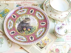 画像1: CH410 Coalport  Lesley Anne Ivory  レズリー・アン・アイボリー Kitten of the Week -Wednesday's Kitten- ピクチャープレート  (1)