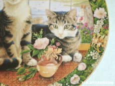 画像6: CH408 Royal Doulton Lesley Anne Ivory  レズリー・アン・アイボリー Cats in the window サマー ピクチャープレート  (6)
