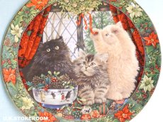 画像3: CH407 Royal Doulton Lesley Anne Ivory  レズリー・アン・アイボリー Cats in the window ウィンター ピクチャープレート  (3)