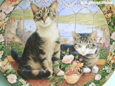 画像3: CH408 Royal Doulton Lesley Anne Ivory  レズリー・アン・アイボリー Cats in the window サマー ピクチャープレート  (3)
