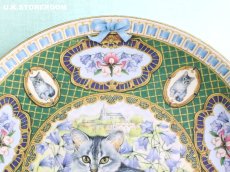 画像4: CH409 Coalport Lesley Anne Ivory  レズリー・アン・アイボリー Kitten of the Week -Sunday's Kitten- ピクチャープレート  (4)