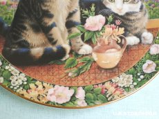画像7: CH408 Royal Doulton Lesley Anne Ivory  レズリー・アン・アイボリー Cats in the window サマー ピクチャープレート  (7)