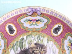 画像4: CH410 Coalport  Lesley Anne Ivory  レズリー・アン・アイボリー Kitten of the Week -Wednesday's Kitten- ピクチャープレート  (4)
