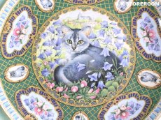 画像3: CH409 Coalport Lesley Anne Ivory  レズリー・アン・アイボリー Kitten of the Week -Sunday's Kitten- ピクチャープレート  (3)