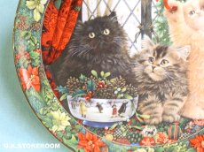 画像4: CH407 Royal Doulton Lesley Anne Ivory  レズリー・アン・アイボリー Cats in the window ウィンター ピクチャープレート  (4)
