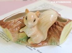 画像8: MB322 Hornsea ホーンジー ファウナロイヤル リス ポジーベース (8)