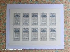 画像3: CO158 Wills's Cigarettes  ウィルズシガレットカード ローズ C (3)