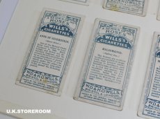 画像9: CO159 Wills's Cigarettes  ウィルズシガレットカード ローズ B (9)