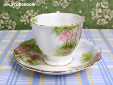 画像7: RA270 Royal Albert  ロイヤルアルバート オールドミル  ティートリオ (7)