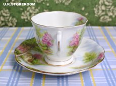 画像5: RA270 Royal Albert  ロイヤルアルバート オールドミル  ティートリオ (5)