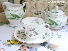 画像1: HA335 Hammersley  ハマースレイ ドッグウッドブラッサム ティーカップ＆ソーサー (1)